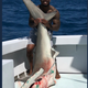 Illustration for article titled Von Miller Says The Bloody Shark Hes Holding Didnt Die